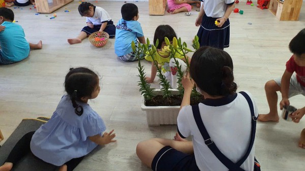 Huyện Cần Giờ, TP.HCM: Rà soát hồ sơ phổ cập trẻ mầm non 5 tuổi Huyện Cần Giờ, TP.HCM: Rà soát hồ sơ phổ cập trẻ mầm non 5 tuổi