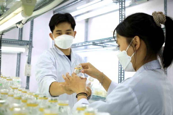 Liêm chính khoa học chính thức vào luật: Khoa học VN chuyển từ Liêm chính khoa học chính thức vào luật: Khoa học VN chuyển từ