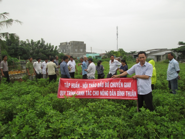 Sáp nhập viện vào trường ĐH: Viên chức không thích nghi việc mới, được đổi việc khác