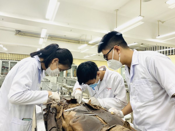 Sinh viên y ngồi hành lang bệnh viện nghe… thực hành