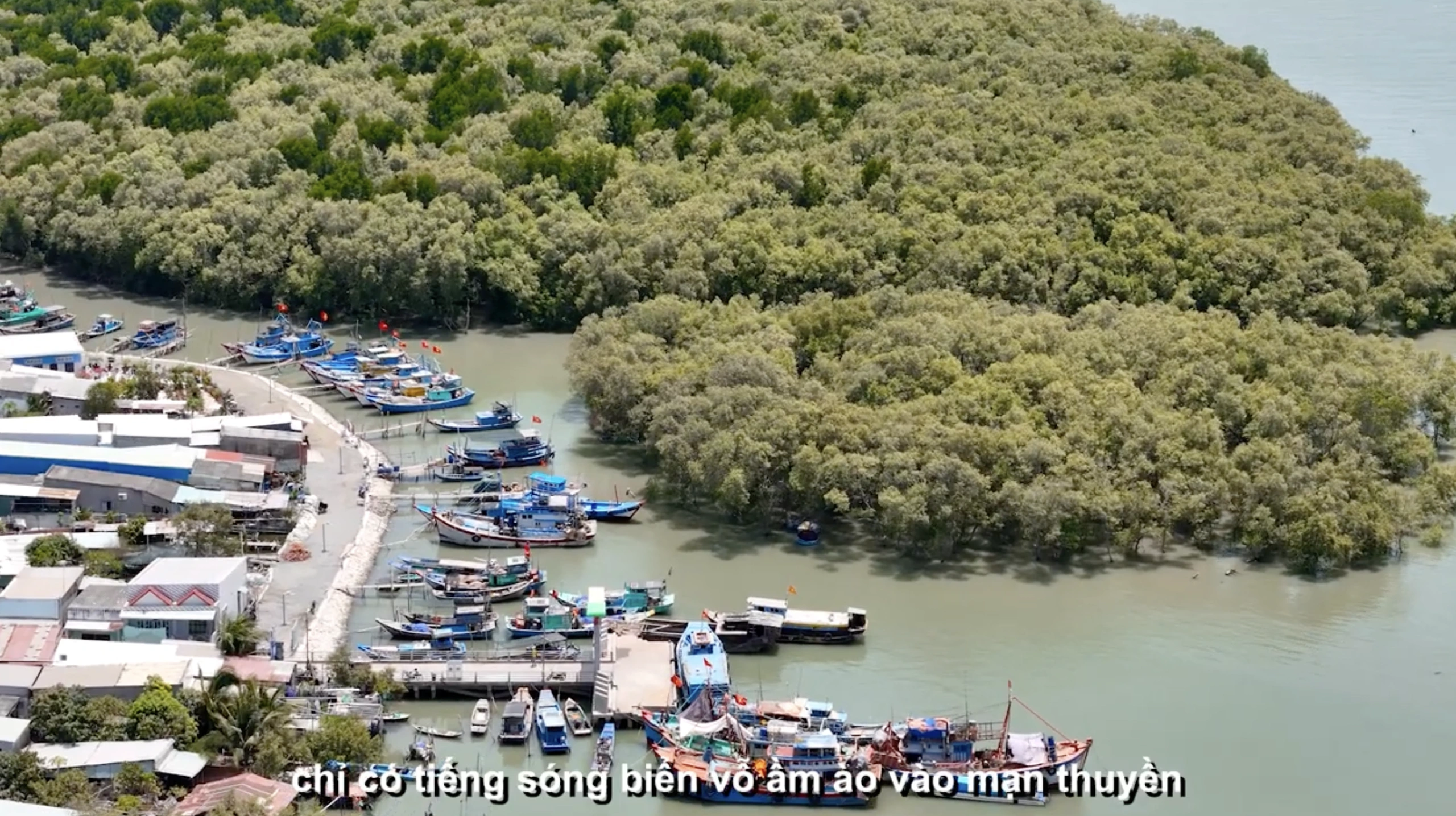 TP.HCM dạy tiếng Anh bằng lớp học số cho nhiều tỉnh thành