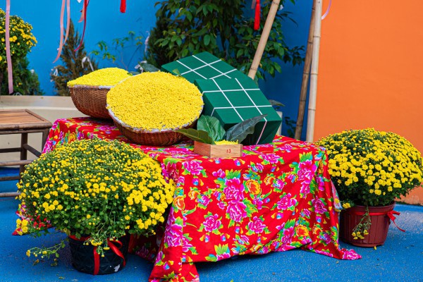 Tết Nguyên đán 2006: Sắc mai, đào, bánh chưng, bánh tét tràn ngập trường đại học