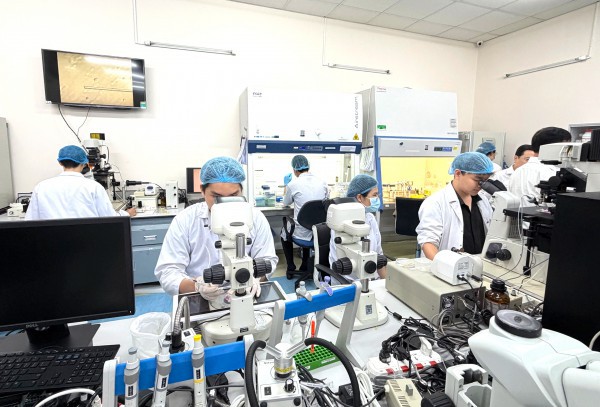 Tiến sĩ danh dự, giáo sư danh dự không thay thế cho học vị, học hàm