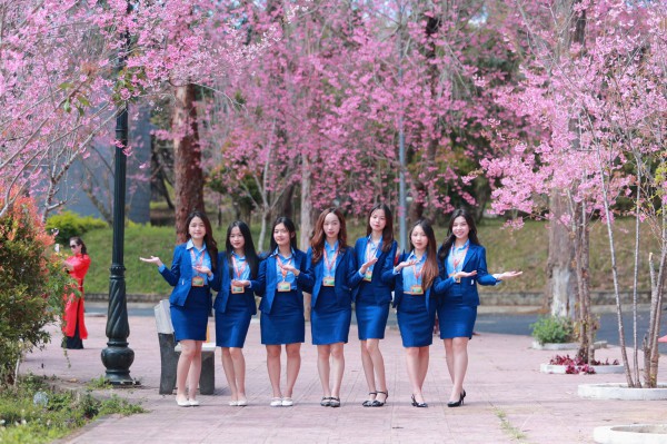 Trường ĐH Đà Lạt rực sắc mai anh đào, sinh viên, du khách thích thú chụp ảnh
