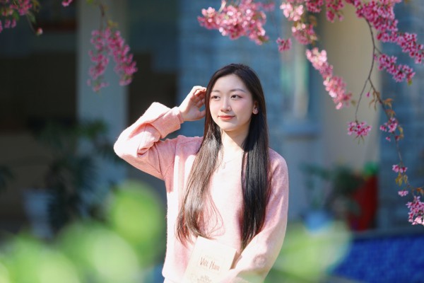 Trường ĐH Đà Lạt rực sắc mai anh đào, sinh viên, du khách thích thú chụp ảnh