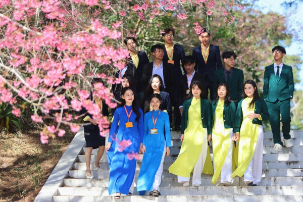 Trường ĐH Đà Lạt rực sắc mai anh đào, sinh viên, du khách thích thú chụp ảnh