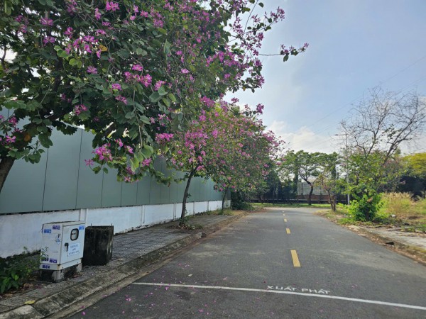 Trường mầm non ở TP.HCM bất lực dùng tôn che chắn mùi hôi thối xông vào lớp