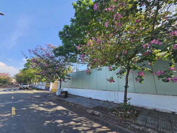 Trường mầm non ở TP.HCM bất lực dùng tôn che chắn mùi hôi thối xông vào lớp