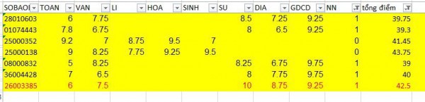 Vì sao 4 thí sinh trường chuyên ở Nam Định bị điểm 0 môn ngoại ngữ?