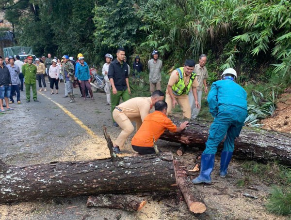 CSGT Lâm Đồng: Kéo giảm người chết do TNGT là 