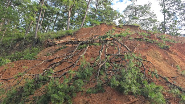 Các phương tiện có thể lưu thông qua đèo Gia Bắc trên QL28