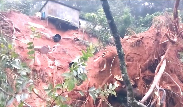 Cây cổ thụ ngã ở đèo Mimosa đè trúng ô tô