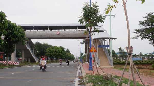 Dù có cầu bộ hành, sinh viên vẫn 