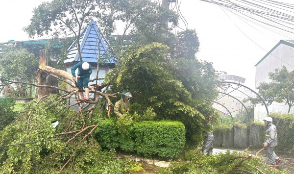 Quân đội cứu hộ vụ lật xe chở sinh viên ở Lâm Đồng