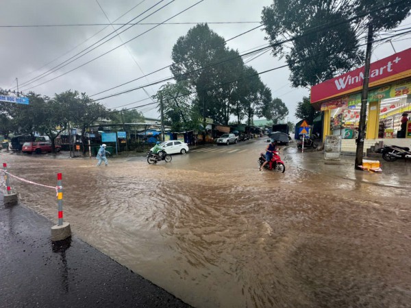 Quảng Ngãi: Tỉnh lộ 674 sạt lở nghiêm trọng, giao thông bị chia cắt
