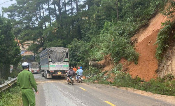 Thông cổ thụ bật gốc, QL27 nối Đà Lạt - Phan Rang ách tắc hơn 2 giờ