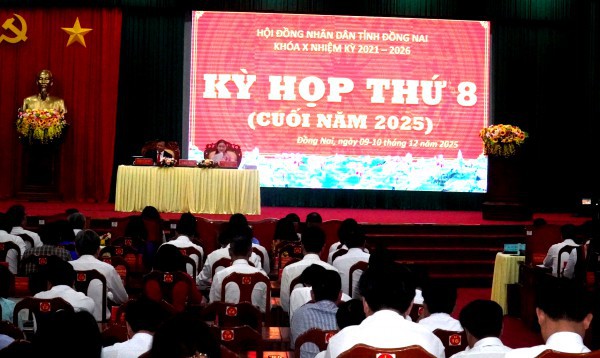 Xây dựng cầu Cát Lái là cấp bách, để khai thác hiệu quả sân bay Long Thành