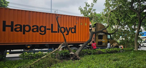 Xe container va ngã cây xanh trên đường Trần Văn Giàu: Ai đúng, ai sai? Xe container va ngã cây xanh trên đường Trần Văn Giàu: Ai đúng, ai sai?