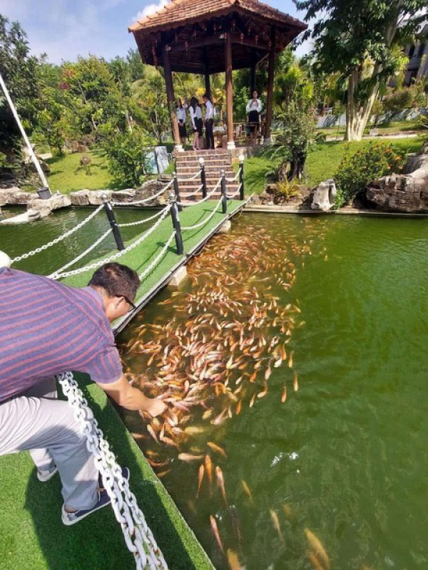 Đồng Nai: Thi công cao tốc tắc trách gây ngập lụt thiệt hại nặng tại xã Phước Thái