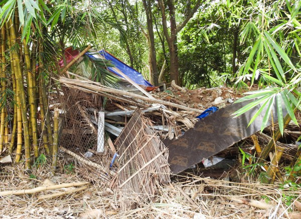 Bán đảo Sơn Trà xuất hiện nhiều chỗ có rác thải, gây mất mỹ quan