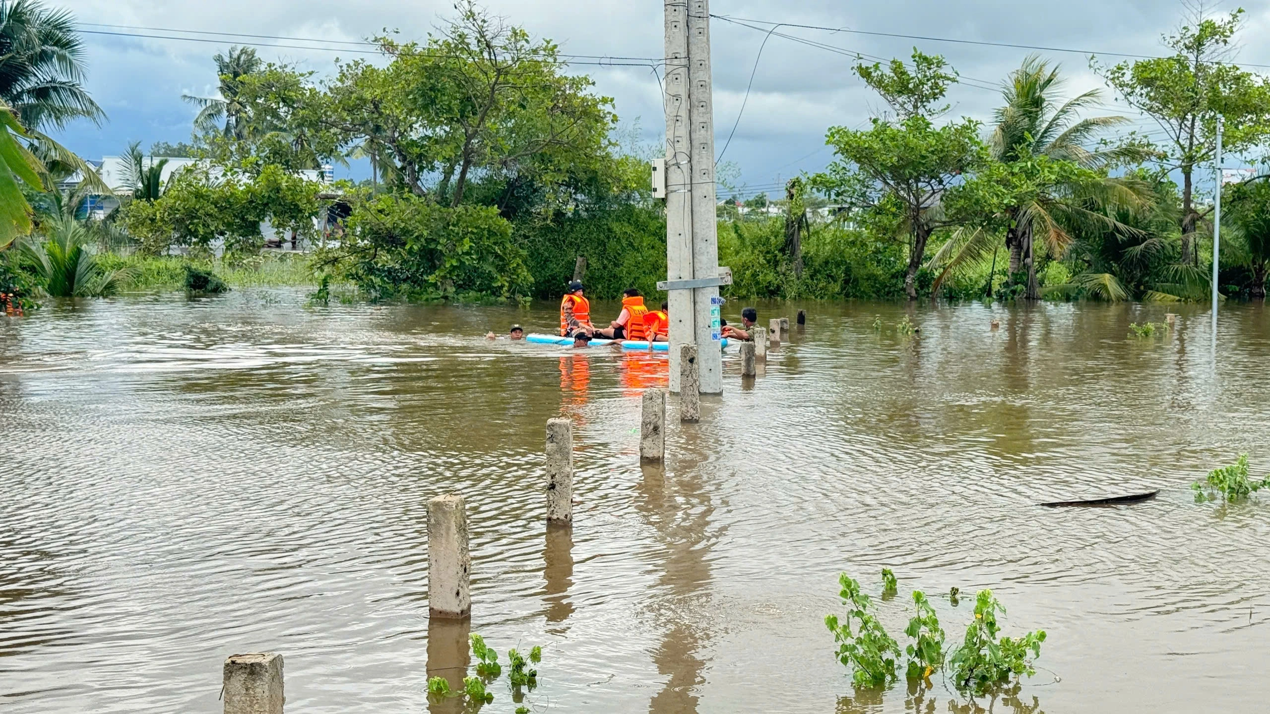 Bình Thuận: Mưa lớn, hơn 400 ha thanh long ngập sâu trong nước