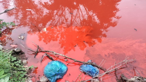 Cà Mau: Nước kênh có màu đỏ lạ do người dân... rửa thùng sơn