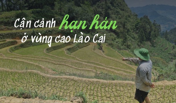 Cận cảnh hạn hán ở vùng cao Lào Cai