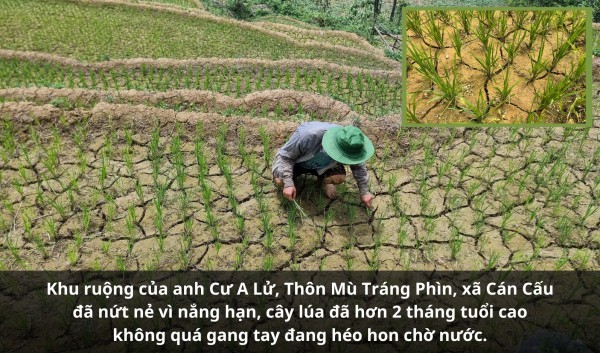 Cận cảnh hạn hán ở vùng cao Lào Cai