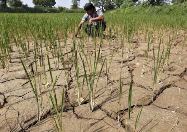 Cảnh báo các hiện tượng thời tiết khắc nghiệt khi El Nino xuất hiện