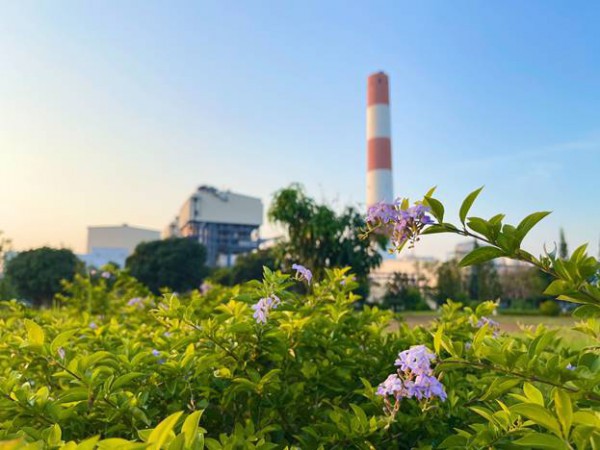Công ty Nhiệt điện Cần Thơ hưởng ứng Ngày Môi trường thế giới và Tháng Hành động vì môi trường