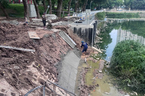Hà Nội: Cá chết hàng loạt, nổi trắng hồ điều hòa công viên Nghĩa Đô
