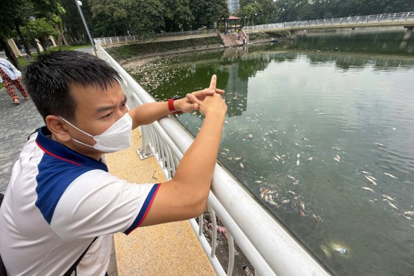 Hà Nội: Cá chết hàng loạt, nổi trắng hồ điều hòa công viên Nghĩa Đô