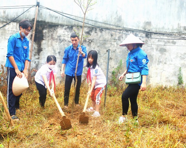 Hà Nội: Trung tâm GreenViet trồng cây xanh tại Trường Tiểu học Xuân Mai B