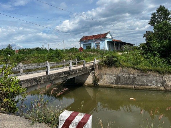 Heo chết vứt bừa bãi ở Gia Lai, gây ô nhiễm nghiêm trọng Heo chết vứt bừa bãi ở Gia Lai, gây ô nhiễm nghiêm trọng