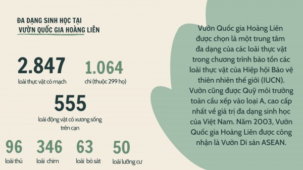 Hiệu quả từ giáo dục môi trường cho học sinh ở Sa Pa