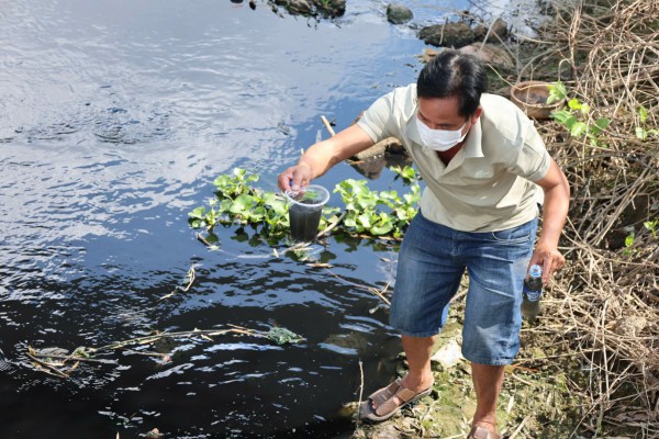 Kênh chìm Sơn Tịnh ở Quảng Ngãi bốc mùi: Chỉ số Coliform vượt chuẩn 48 lần