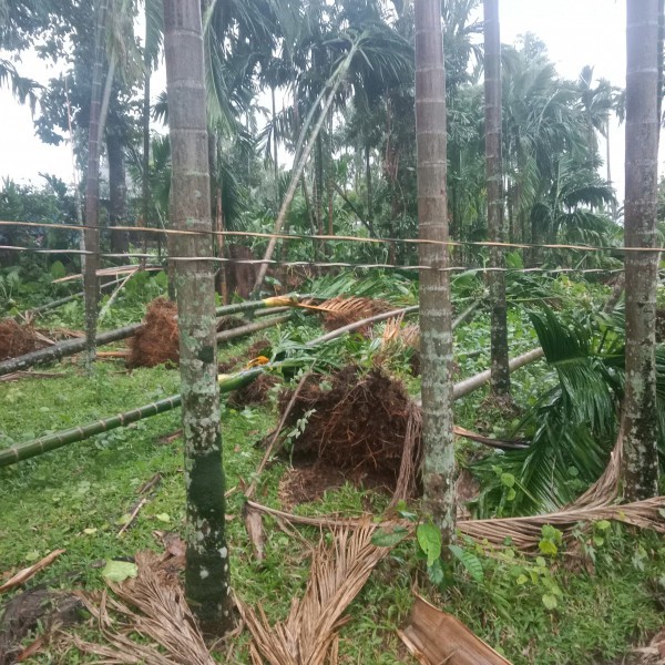 Lốc xoáy quét qua xã miền núi Quảng Ngãi, hơn 100 căn nhà bị hư hại