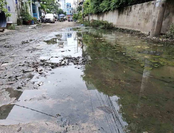 Ngập đường do cống bị nghẹt