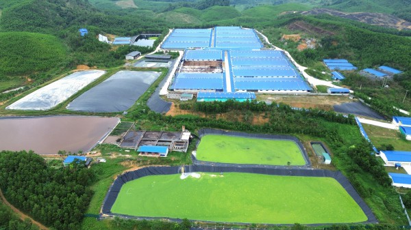 Người dân dựng rạp, tập trung phản đối trại lợn gây mùi hôi thối Người dân dựng rạp, tập trung phản đối trại lợn gây mùi hôi thối