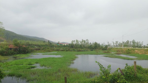 Nước thải bãi rác chảy tràn ra suối, người dân lo ngại ô nhiễm