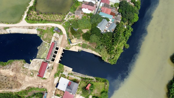 Sông Bắc Hưng Hải bị đầu độc suốt ngày đêm Sông Bắc Hưng Hải bị đầu độc suốt ngày đêm