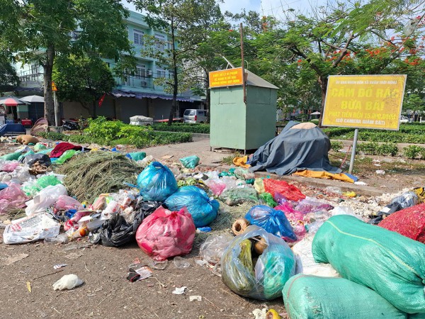 Đổ rác tràn lan dưới biển cấm