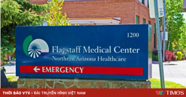 Bang Arizona (Mỹ) ghi nhận ca tử vong vì dịch hạch sau gần 2 thập kỷ