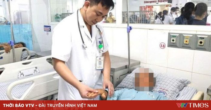 Liên tiếp cấp cứu hai người bị rắn độc cắn tại Phú Thọ