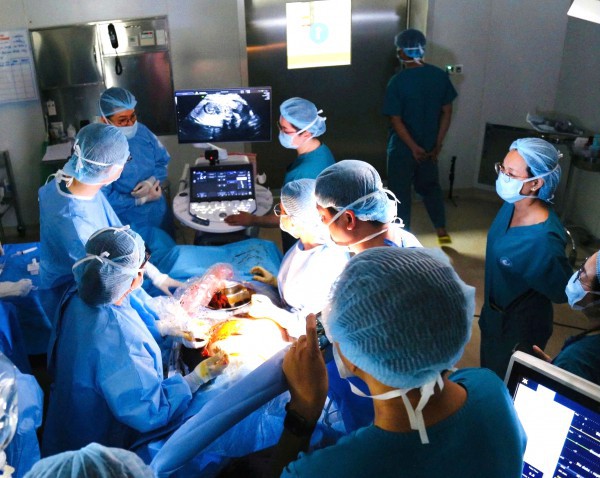 Năm 2025, ngành y tế TP.HCM đã làm được gì?