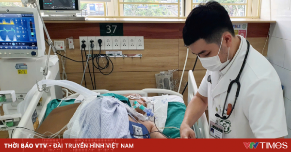 Rắn độc cắn: Đừng đánh đổi mạng sống vì “thầy lang”, thuốc lá