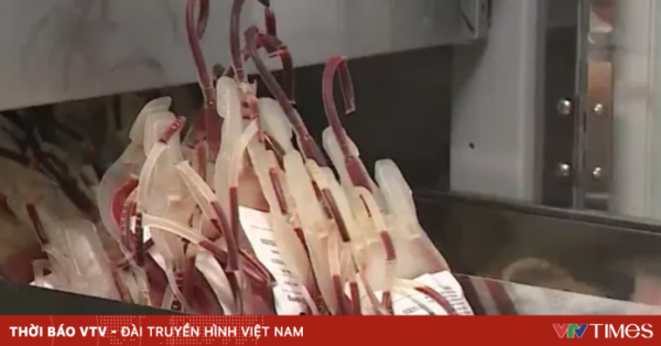 TP Hồ Chí Minh kêu gọi người dân hiến máu