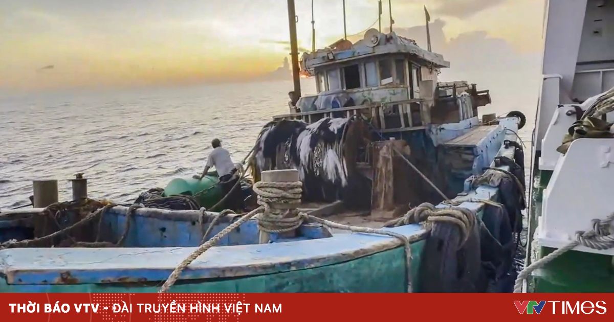 Vũng Tàu: Cứu kịp thời 1 ngư dân gặp nạn trên biển