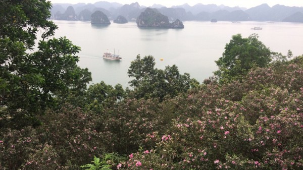 Bãi biển ít người biết tới ở Việt Nam vào top 100 đẹp nhất thế giới