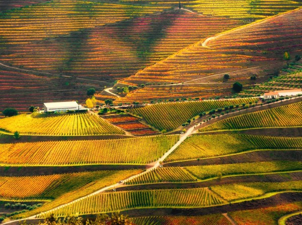 Báo Anh chọn hai điểm đến ở Việt Nam vào top đẹp nhất thế giới